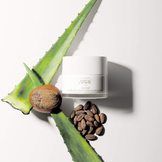 Présentation des composants de la Crème Onctueuse Hydratation Intense Laboratoire Amaé : beurre de karité, aloe vera, autour du pot.